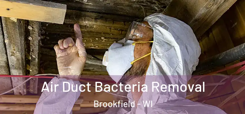  Air Duct Bacteria Removal Brookfield - WI