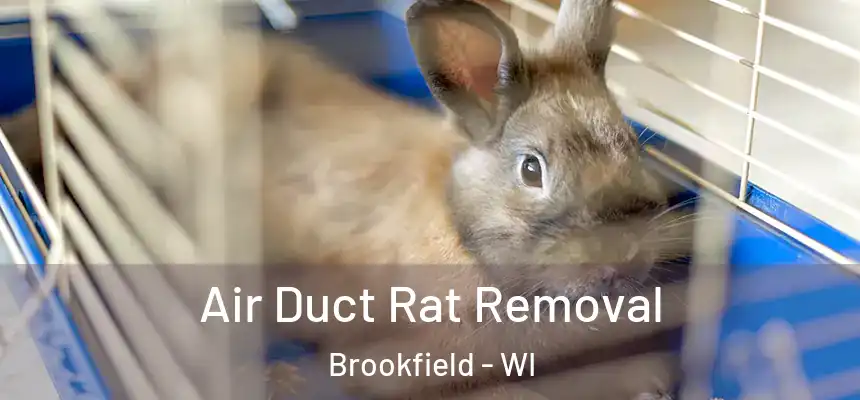  Air Duct Rat Removal Brookfield - WI