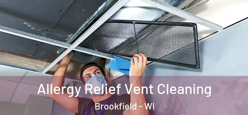 Allergy Relief Vent Cleaning Brookfield - WI