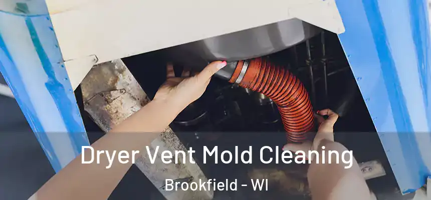Dryer Vent Mold Cleaning Brookfield - WI
