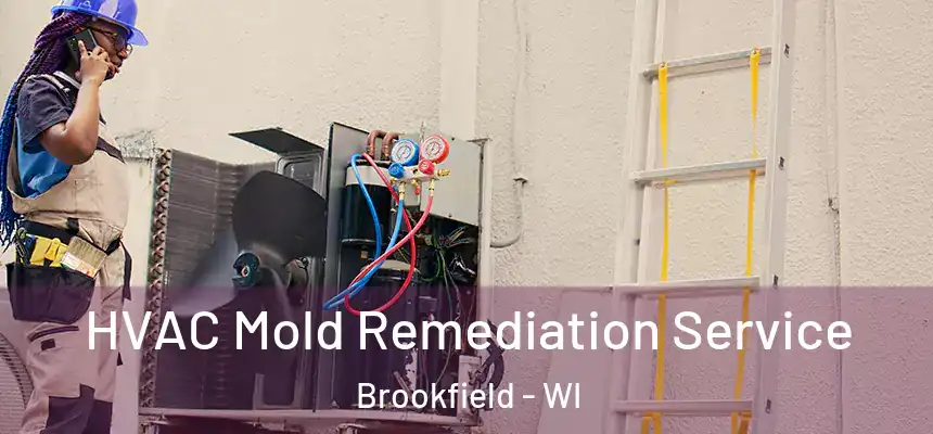  HVAC Mold Remediation Service Brookfield - WI