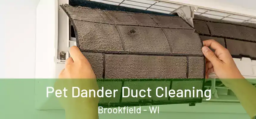 Pet Dander Duct Cleaning Brookfield - WI