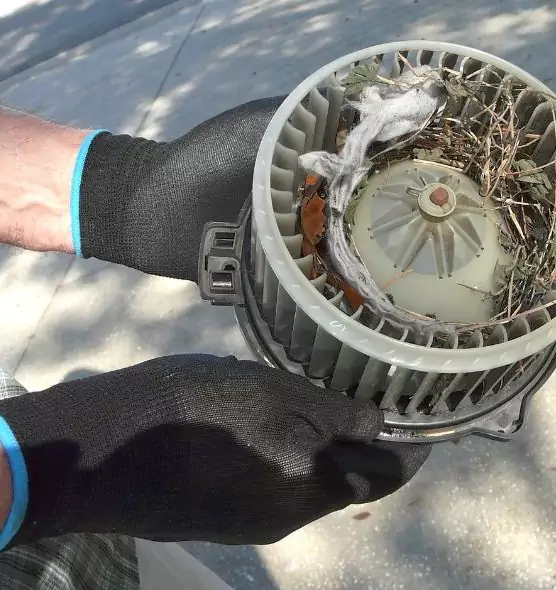 About Air Duct Rat Removal in Brookfield, WI