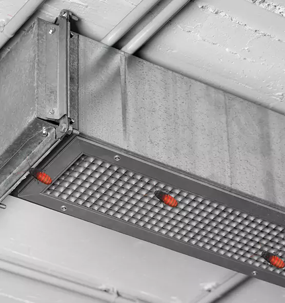 Affordable Insect Removal from Air Ducts in Brookfield, WI