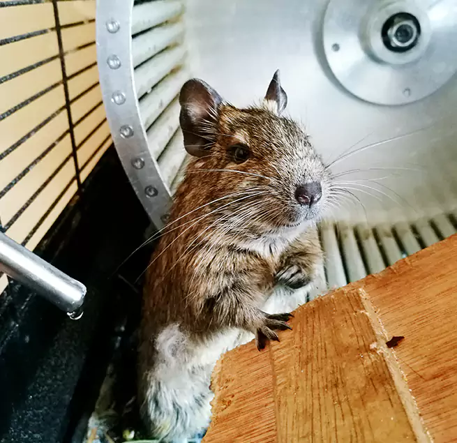 Why Homeowners & Businesses Trust Us Brookfield, WI